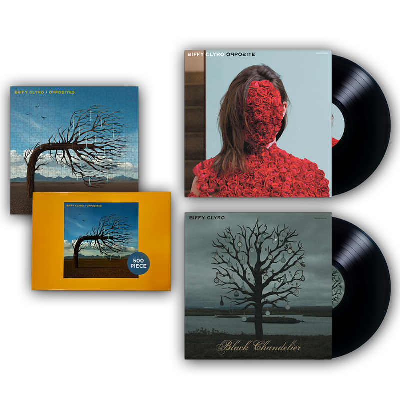Opposites Anniversary Vinyl + Jigsaw Bundle