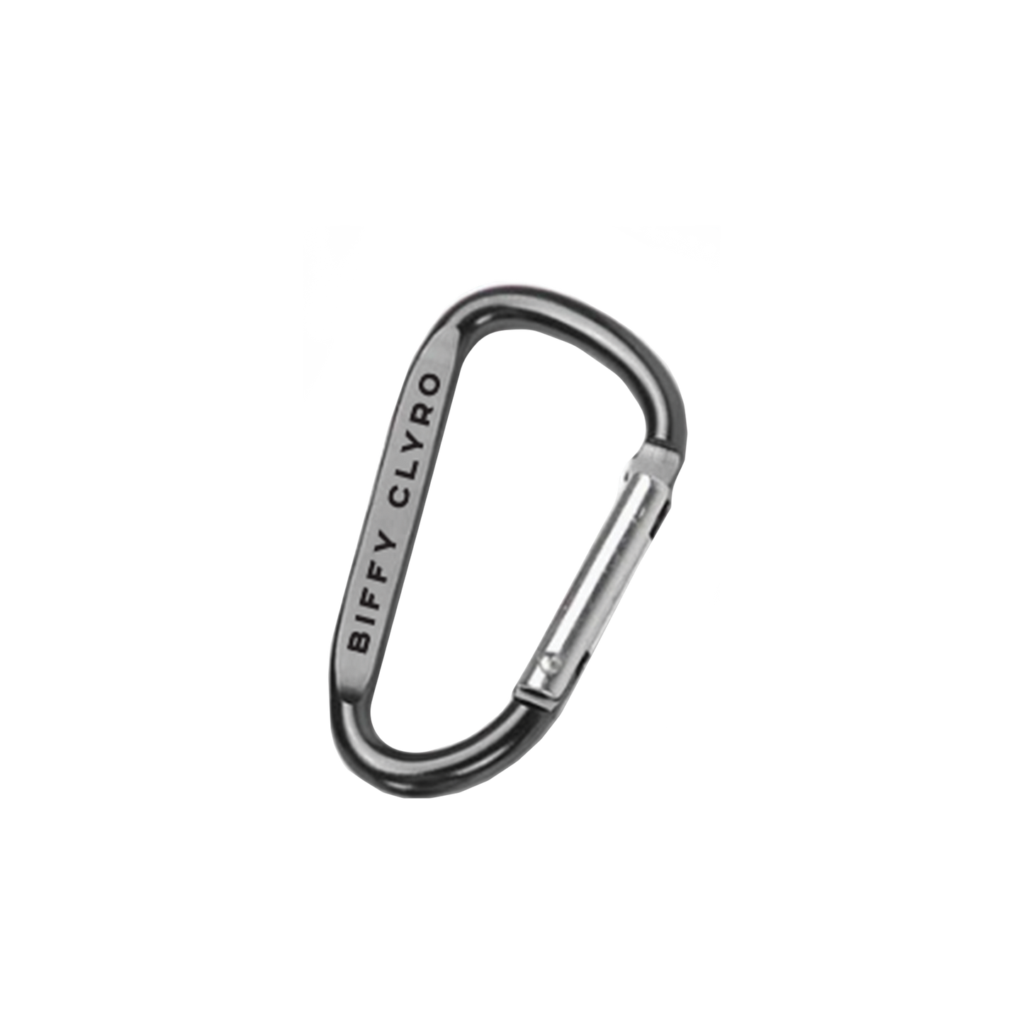 Logo Carabiner Silver