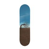 Opposites Skate Deck