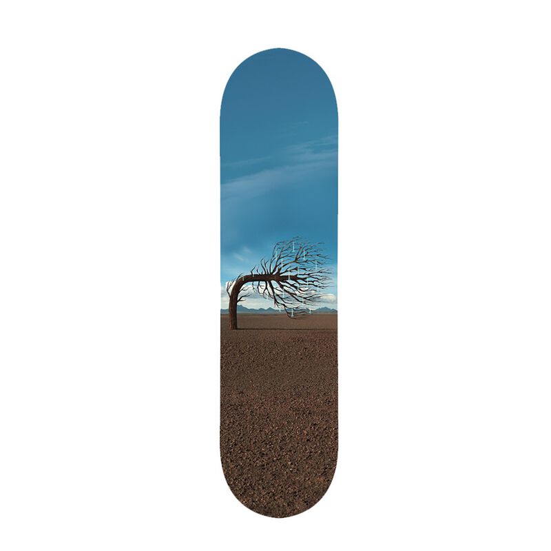 Opposites Skate Deck